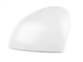 Покрытие, внешнее зеркало BSG купить